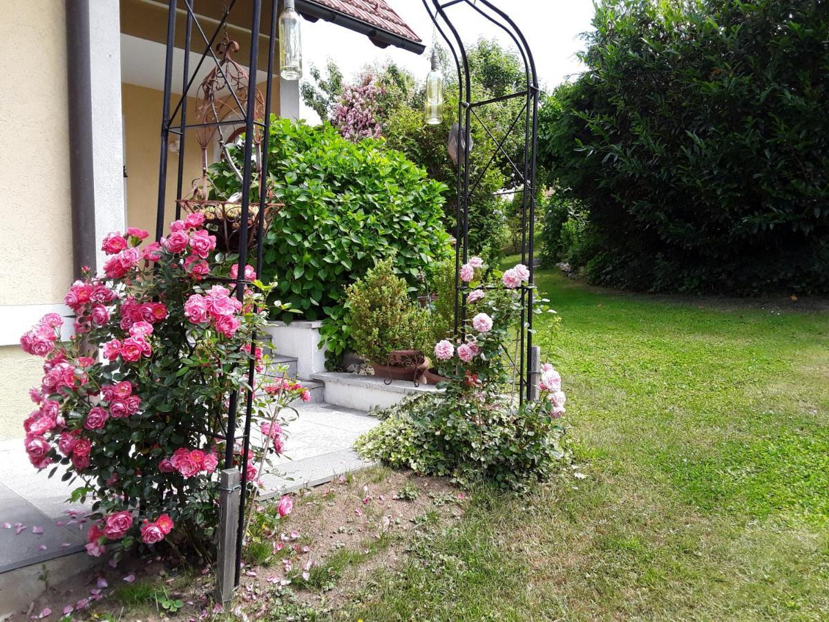 Anna'S Home - Ferienwohnungen Ratsch an der Weinstraße Exterior foto